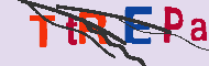 Captcha koda